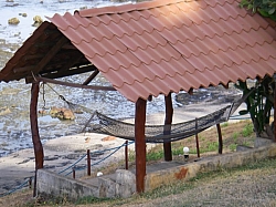 IMGP0293.JPG
