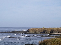 IMGP0294.JPG