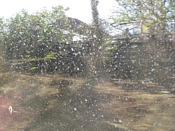 IMGP0299.JPG