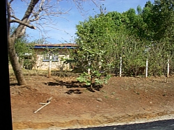 IMGP0301.JPG