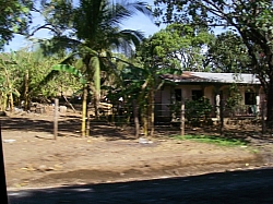 IMGP0302.JPG
