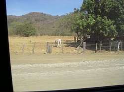 IMGP0303.JPG