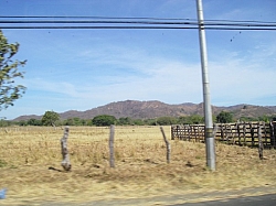 IMGP0305.JPG