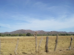IMGP0306.JPG