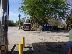 IMGP0310.JPG