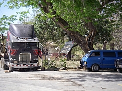 IMGP0311.JPG