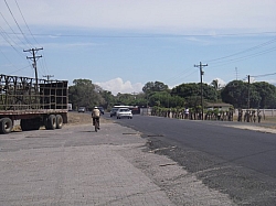 IMGP0313.JPG