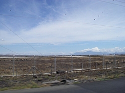 IMGP0314.JPG