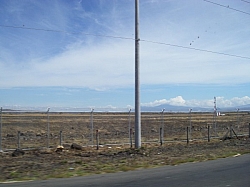 IMGP0315.JPG