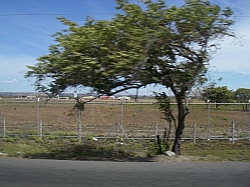 IMGP0316.JPG