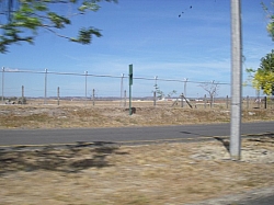 IMGP0317.JPG