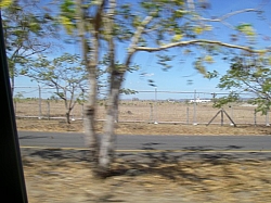 IMGP0318.JPG