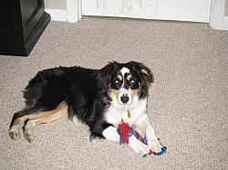 IMGP0326.JPG