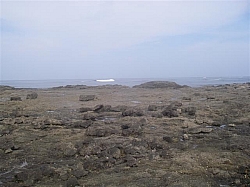021.JPG 021.JPG