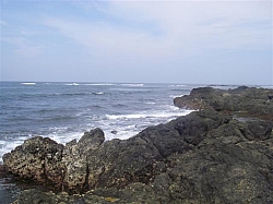 030.JPG 030.JPG