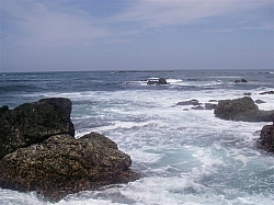 033.JPG 033.JPG