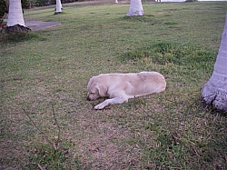 036.JPG 036.JPG