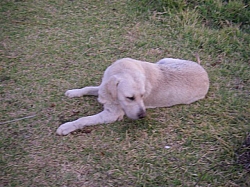 038.JPG 038.JPG