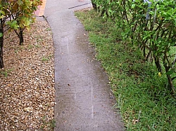 055.JPG 055.JPG