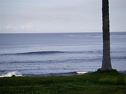 068.JPG 068.JPG