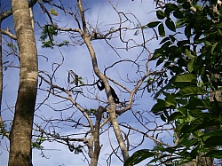 072.JPG 072.JPG