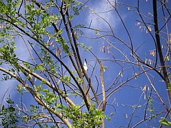 076.JPG 076.JPG