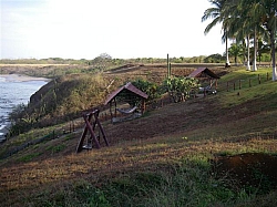 079.JPG 079.JPG