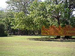 087.jpg 087.jpg