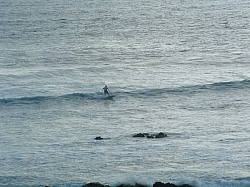 DSCF0026.JPG