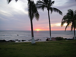 CR_007.jpg CR_007.jpg