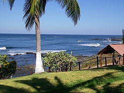 CR_016.jpg CR_016.jpg