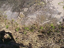 CR_024.jpg CR_024.jpg