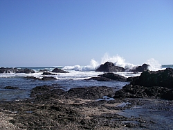CR_050.jpg CR_050.jpg