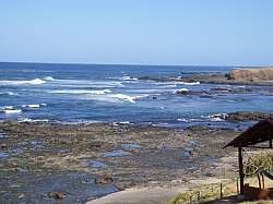 CR_077.jpg CR_077.jpg