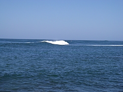 CR_085.jpg CR_085.jpg