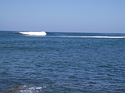 CR_086.jpg CR_086.jpg