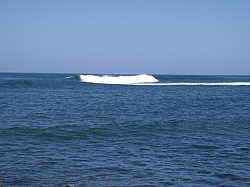 CR_087.jpg CR_087.jpg