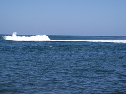 CR_088.jpg CR_088.jpg