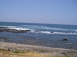 CR_102.jpg CR_102.jpg