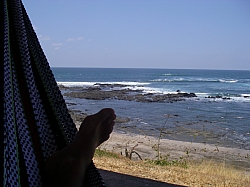 CR_103.jpg CR_103.jpg