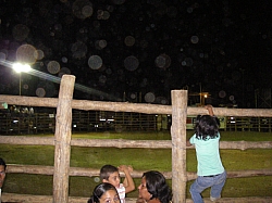 CR_135.jpg CR_135.jpg