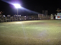 CR_136.jpg CR_136.jpg