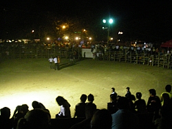 CR_167.jpg CR_167.jpg