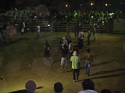 CR_170.jpg CR_170.jpg