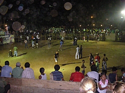 CR_180.jpg CR_180.jpg