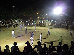 CR_186.jpg CR_186.jpg