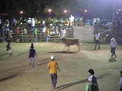 CR_188.jpg CR_188.jpg
