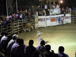 CR_189.jpg CR_189.jpg
