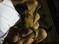 CR_194.jpg CR_194.jpg
