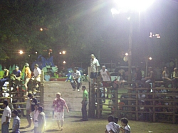 CR_201.jpg CR_201.jpg